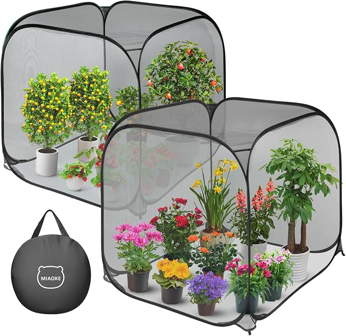 2 Pack Pop Up Mesh Plant Cover, 35.4x35.4x38.2 Inch No Build Protection Against Insects Garden Netting, Raised Bed Cover for Barrier Against Insects for Vegetable Plant Fruit Animals-Black