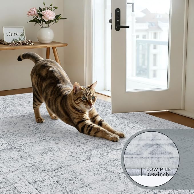 3x5 Area Rugs Living Room: Bedroom Neutral Washable Carpet Gray | Vintage Boho Soft Small Indoor Decor Floor Non-Slip Low Pile Neutral Farmhouse Entryway Laundry Bathroom Bedroom Beside Rugs