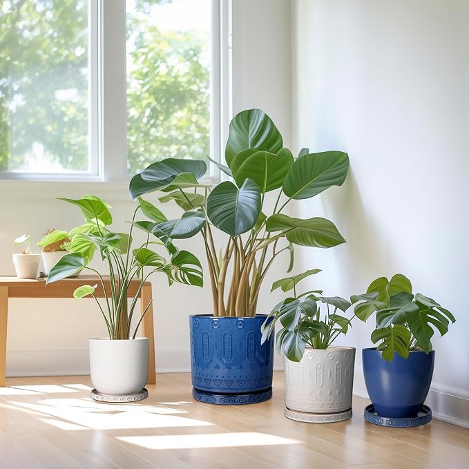 Eightpot Plant Saucer for Indoors - Ceramic Plant Saucer for Outdoors 11.4 Inch Plant Water Catcher Tray Plant Pot Saucer Plant Drip Tray Drainage Large Plant Plates to Catch Water, Cream White