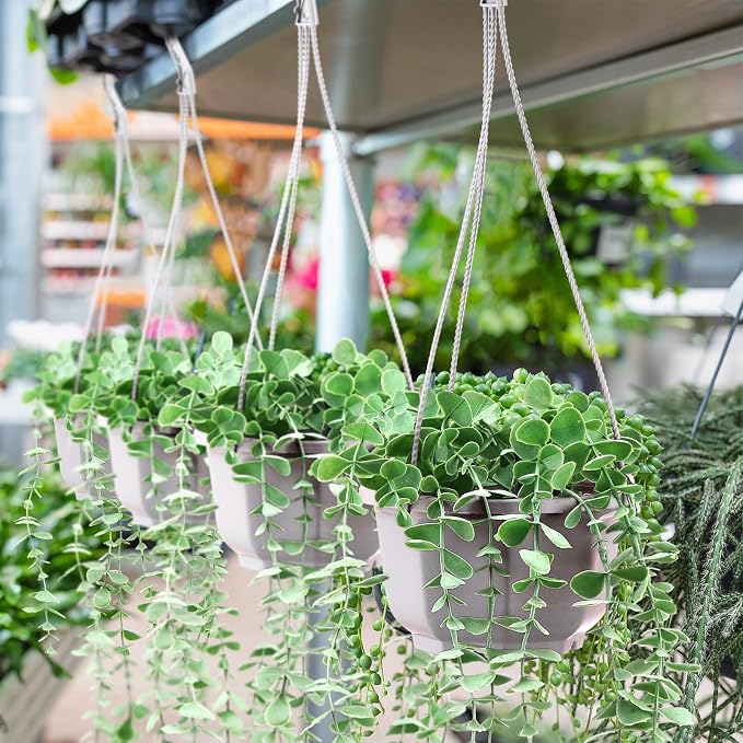 Roshtia 50 Pcs 6.7 Inch Plastic Hanging Plant Pots with Hooks Flower Pots Baskets Outdoor Hanging Nursery Planter Holder for Home Garden Balcony Porch(Gray White)