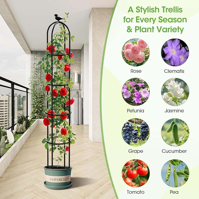 2 Pack Garden Obelisk Trellis for Climbing Plants Outdoor, 6.2 FT Tomato Cage, Rose, Flowers, Grape, Pea, Cucumber Trellis, Rustproof Plastic Coated Metal Plant Support Trellis for Potted Plants