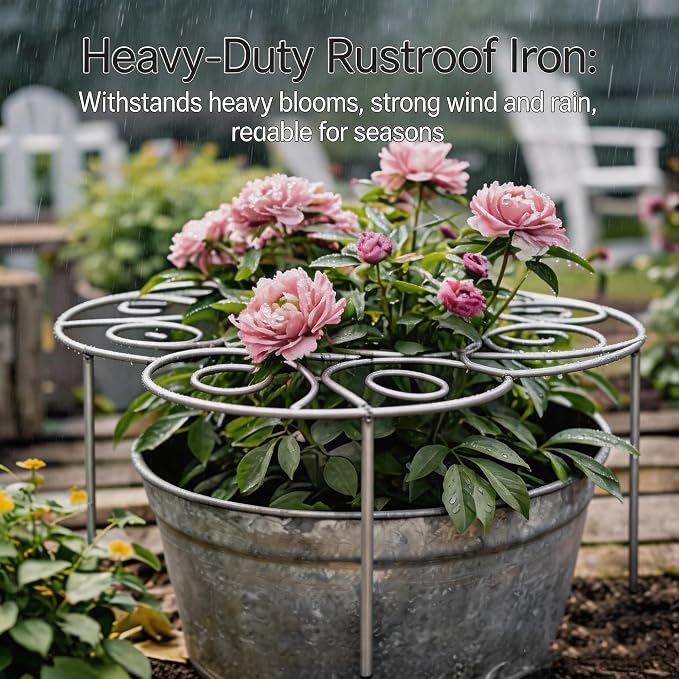 Plant Support Ring for Most Plants – Heavy Duty Metal Cage for Flowers, Vegetables, Tomatoes, Peonies, Roses – Garden Stake for Indoor/Outdoor Pots – No Tools Needed (L)
