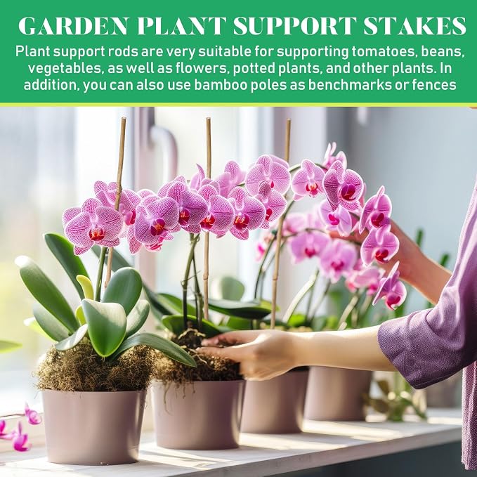 Suclain 100 Pcs Bamboo Plant Stakes Natural Garden Support Sticks for Climbing Plants Sturdy Bamboo Garden Stakes for Tomato, Beans, Flowers and Potted Plants, Vegetables, Indoor & Outdoor (2 ft)