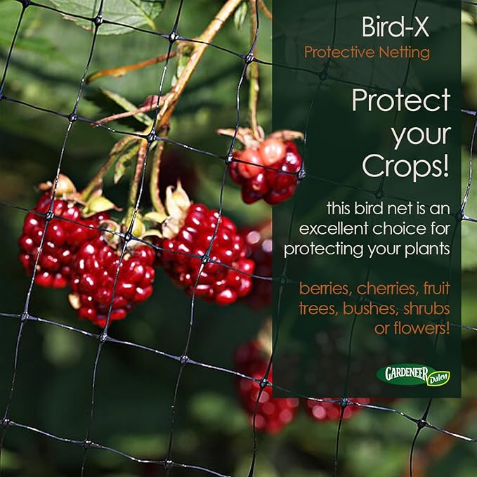 Dalen Bird-X Protective Mesh Netting for Fruit Trees, Berries, Vegetables - 14 ft x 75 ft, Black Garden Netting, 5/8-inch Mesh - Helps Deter Birds & Garden Pests, Made of Weather-Resistant Plastic