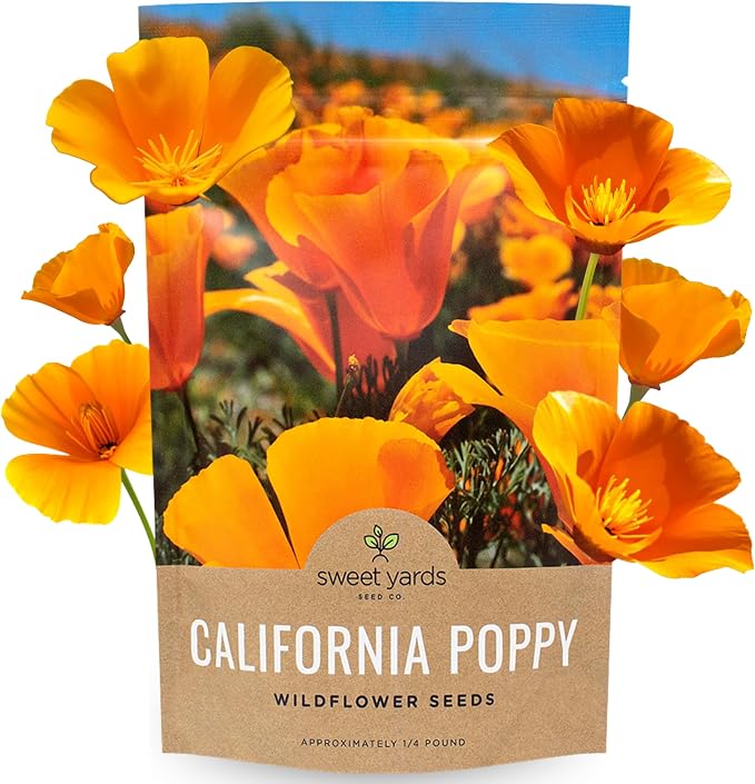 California Orange Poppy Wildflower Seeds - Bulk 1/4 Pound Bag - Over 80,000 Native Seeds - California State Flower!