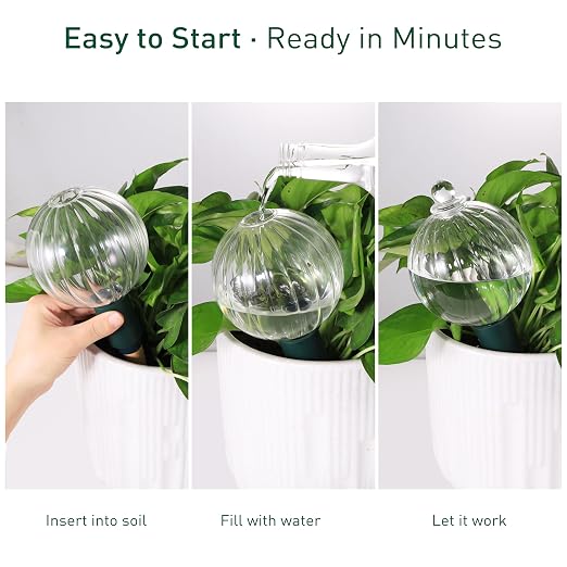 Soilagua 23 oz Extra Large Plant Watering Globes, Top Fill Clear Glass Watering Bulbs with Terracotta Adapter, Slow Release Self Watering for Daily & Vacation Use, Waterer, Planter Insert, 1 Pack