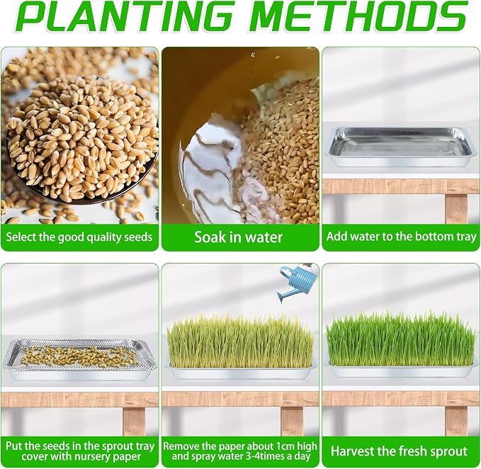6 Pack Seed Starter Tray 13.78x 10.24x 1.38Inch Plant Germination Trays Stainless Steel Seed Sprouting Trays Microgreens Growing Trays