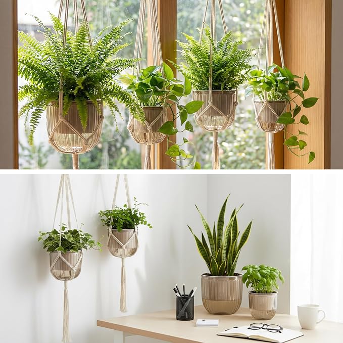 Hanging Planter Set of 6 Self Watering Indoor Flower Pots with Water Level Indicator Modern Plant Hangers for Indoor Garden Decor Balcony Apartment Boho Home Decoration Easy Care(Grey)
