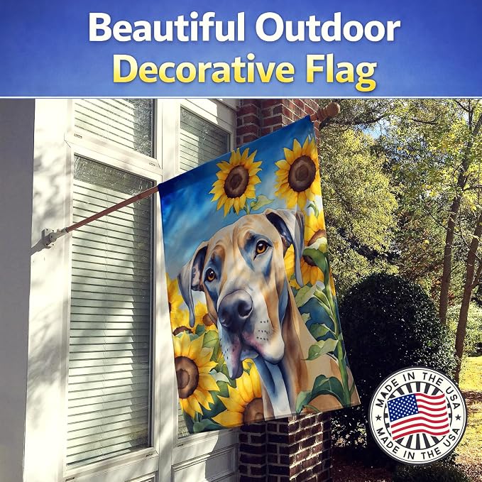 Caroline's Treasures DAC6092CHF Great Dane in Sunflowers House Flag Large Porch Sleeve Pole Decorative Outside Yard Banner Artwork Wall Hanging, Polyester, House Size, Multicolor