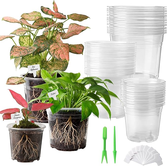 36 Pack 6/8/10 Inch Clear Nursery Pots with Drainage Holes, Transparent Plastic Plant Pots with 40 Waterproof Tags and 2 Mini Transplant Tools, Clear Pot for Plants and Vegetables(Each Size 12)