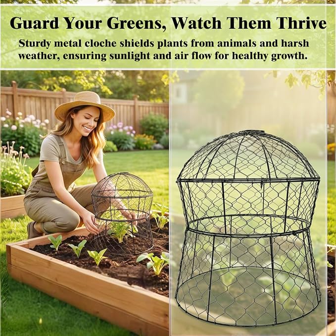 Garden Cloches for Plants 6 Pack Metal Plant Protectors from Animals Chicken Wire Cloche Updated Plant Cages for Outdoor Plants Vegetables Seedlings 13" D x 14" H