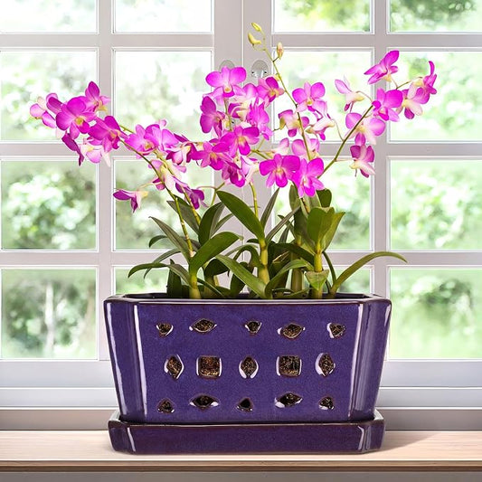 Teenyyou 1 Set Orchid Pot with Holes 9.5 Inch Ceramic Orchid Pot with Saucers for Repotting Amaryllis Flower Planter Include Gardening Shovel Set and Gloves for Home Decor (Purple)