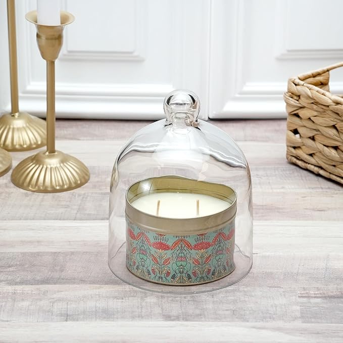 Plymor 5" x 6" Bell Jar Glass Display Dome Cloche (Interior Size 4.75" x 4.5")