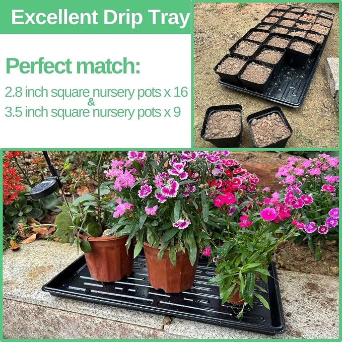 Shallow 1020 Nursery Flat Trays -10 Pack, 1.8" Height, Specialized for Holding 72-Cell Plug Seedling Trays, No Holes, Ideal for Seed Starting and Planting