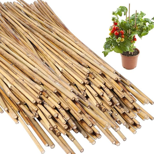 Suclain 100 Pcs Bamboo Plant Stakes Natural Garden Support Sticks for Climbing Plants Sturdy Bamboo Garden Stakes for Tomato, Beans, Flowers and Potted Plants, Vegetables, Indoor & Outdoor (2 ft)