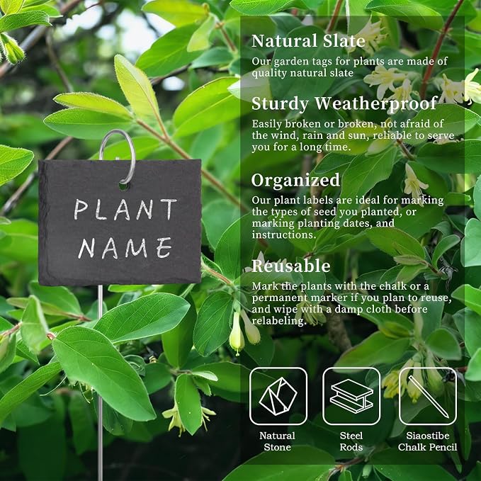 15 Pcs Slate Plant Labels with Chalk Pencils Outdoor Garden Marker Label Signs with Stakes for Plants, Vegetables, Herb, Flowers (Rectangular)