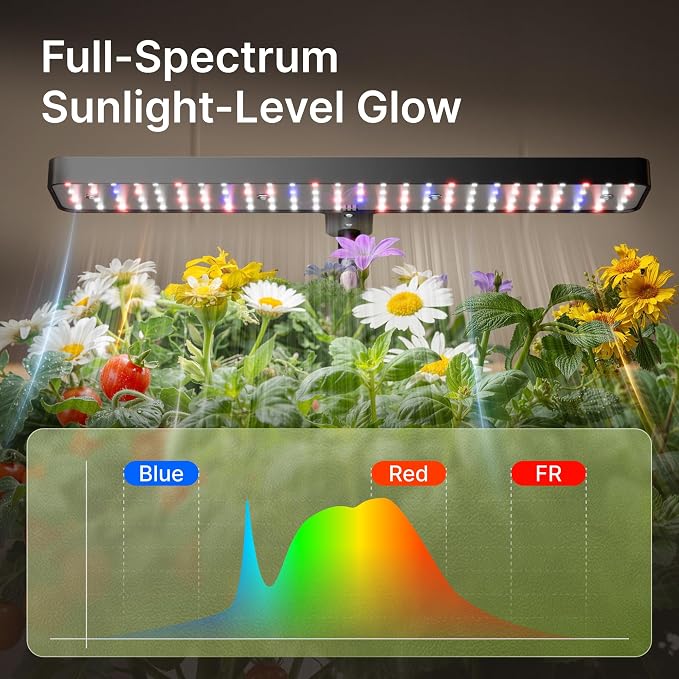 SUNCOZE Hydroponics Growing System, Compact 12 Pods Indoor Garden, Black | 24W LED Dimmable Grow Light, 4L Water Tank with Quiet Pump, Adjustable Height Herb Garden Planter Indoor Kit, Gardening Gifts