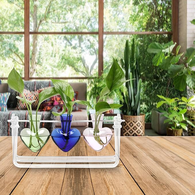 Clear Plant Terrarium Propagation Stations with Acrylic Stand | Birthday Gifts for Women Office Home Decor