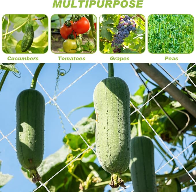 Berlune 4 x 1000 ft Trellis Netting Roll Heavy Duty Nylon Garden Trellis Netting with 6 Inch Mesh Soft Plant Support Net for Climbing Plants, Grape Racks, Growing Support Bean, Pea, Tomatoes