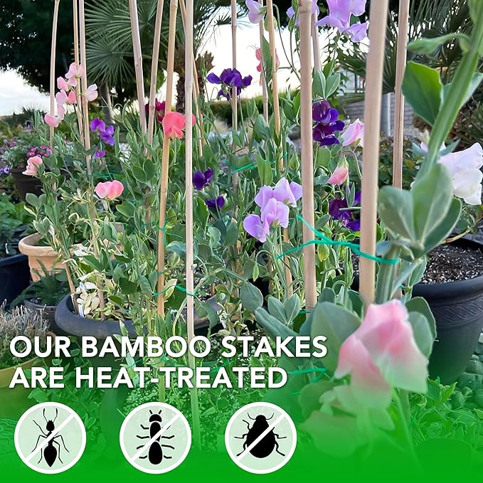SWANGSA 55 Pack Bamboo Stakes for Plant 3 Feet, Bamboo Sticks for Garden Plant Support Stakes Poles for Tomatoes, Beans, Flowers, Potted Plants, Indoor and Outdoor Climbing Plants
