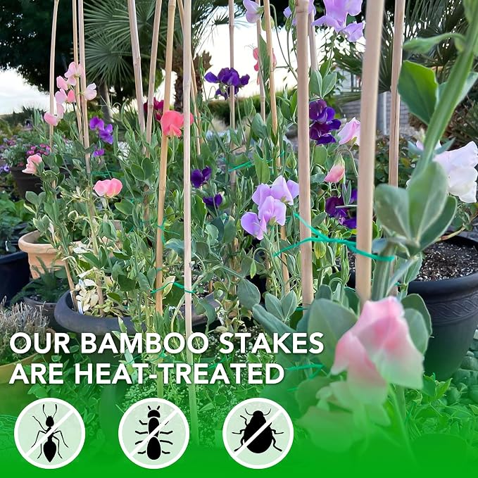SWANGSA 55 Pack Bamboo Stakes for Plant 5 Feet(57.5inch) Bamboo Sticks for Garden Plant Support Stakes Poles for Tomatoes, Beans, Flowers, Trees, Indoor and Outdoor Climbing Plants