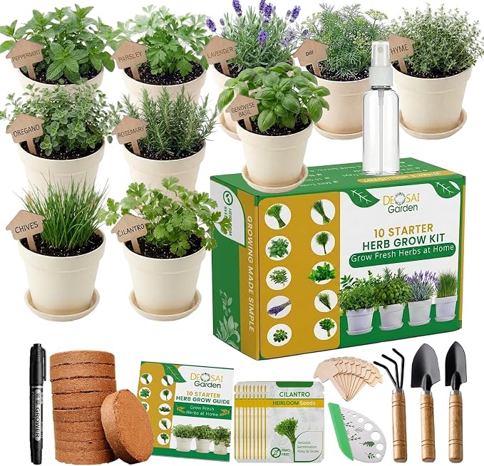 47 PCS Herb Garden Seeds Starter Kit, 10 Non-GMO Culinary Herb Seeds with Beige Pots & Planters for Windowsill, Herb Growing Kit Indoor & Outdoor, Unique Herb Garden Gift Set for Gardening Lovers