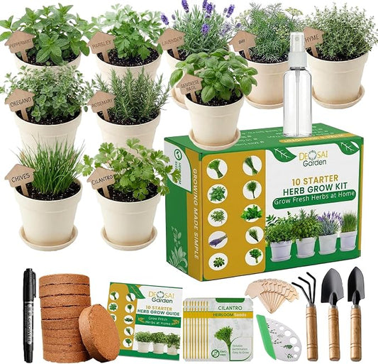 47 PCS Herb Garden Seeds Starter Kit, 10 Non-GMO Culinary Herb Seeds with Beige Pots & Planters for Windowsill, Herb Growing Kit Indoor & Outdoor, Unique Herb Garden Gift Set for Gardening Lovers