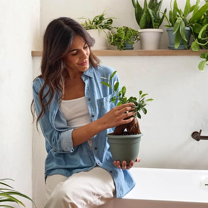 Bloem Ariana 6" Basil Round Self Watering Planter Pot - Rolled Rim Plastic Resin Indoor or Outdoor Gardening Planter with Drainage Holes, Made in USA