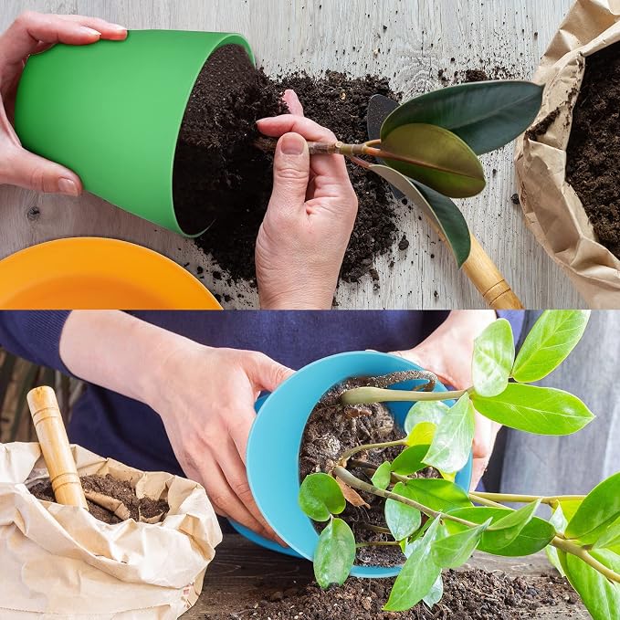 Yinder 32 Pcs 6 Inch Nursery Pots Flower Pots Colorful Plastic Plant Pot Seed Starting with Saucers and Drainage Holes Plant Container for Herbs Houseplants Seeding Nursery Flowers