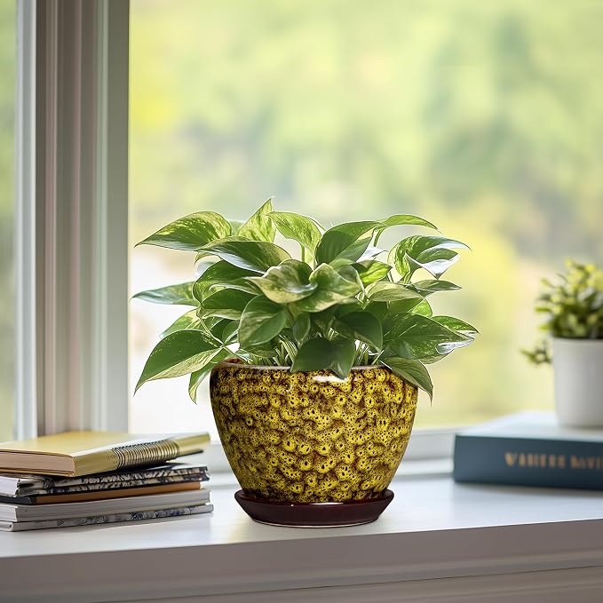 6 Inch Ceramic Plant Pot, Yellow Leopard | Drainage Hole and Tray, Indoor Outdoor, Decorative Round Planter, Small Flower Pot