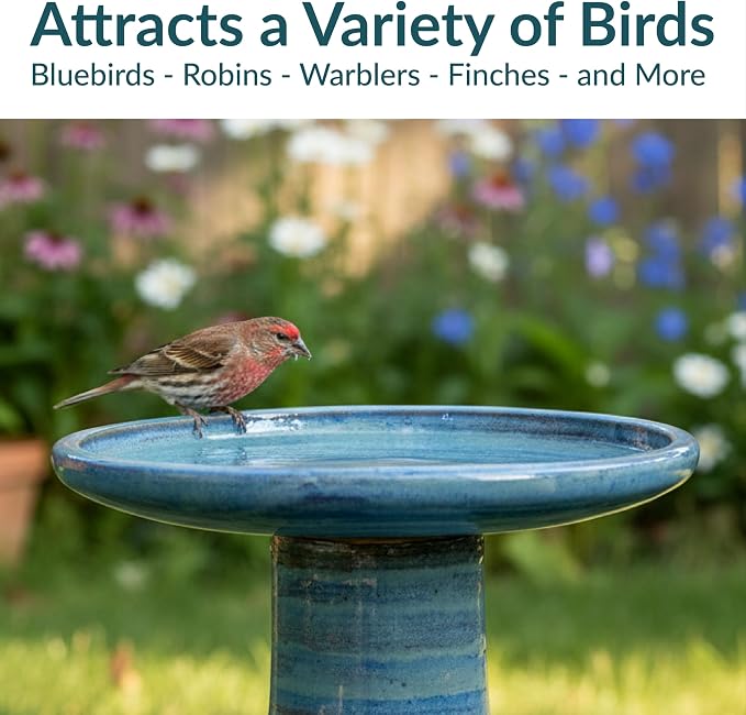 Sunnydaze 21" H Ceramic Bird Bath for Outside - Hand-Painted Outdoor Bird Bath Bowl, UV/Frost-Resistant Finish - Cloud Swirl