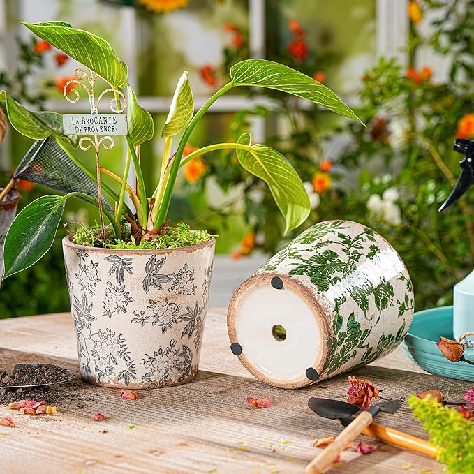 Sungmor Vintage Ceramic Planter Set of 2 - Decorative Indoor & Outdoor Flower Pots with Drainage Holes - Tuscan Décor Pots, 5.5" Ice Crackle Glaze Planters for Home, Kitchen, Patio, and Garden