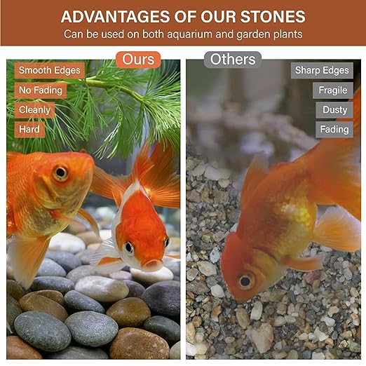 NUPICK 6lb Mexican Beach Pebbles, 2-3" Large River Rocks for Landscaping, Smooth Garden Rocks for Outdoor Paving, Natural Pebbles for Indoor Plants, Decorative Stones for Planters, Fish Tank, Fountain