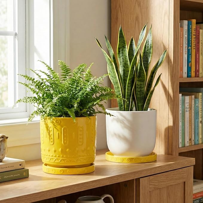 Eightpot Plant Water Catcher Tray 7.5 Inch, 2 Pack Ceramic Plant Saucers for Indoors Outdoors, Round Plants Plates to Catch Water, Modern Decorative Plants Dishes to Catch Water, Yellow