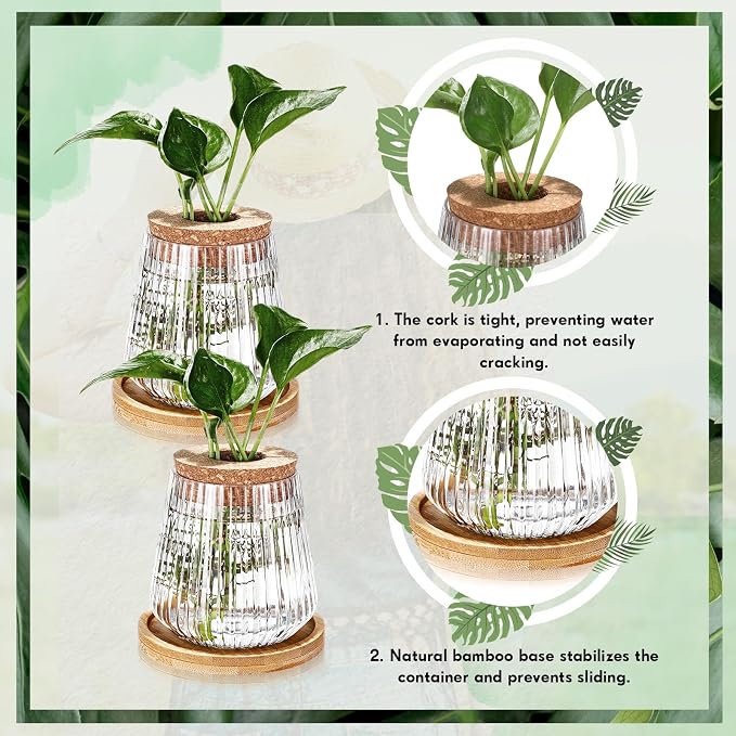 Baderke 12 Packs Propagation Vases for Plants Plastic Plant Propagation with Hole Lid and Bamboo Stand Growing in Water Hydroponic Home Office Desktop Vase Decoration