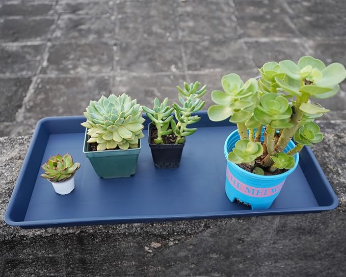 VUWEZ Rectangle Plant Tray, Plant Drip Tray, Plant Pot Saucers, Plant Germination Trays, Plant Saucers, 17.5'' x 10.6'' x 1.5'' (2 pack), Blue