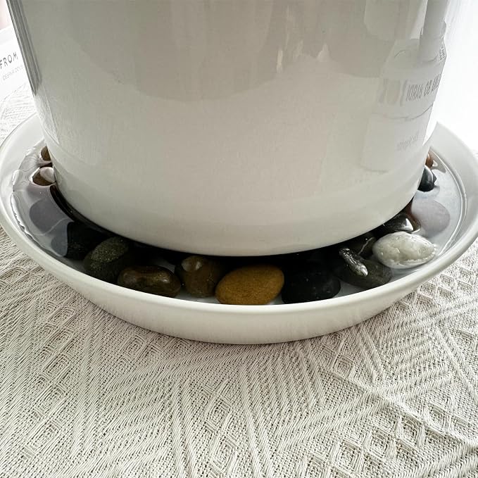 Ceramic Plant Saucer Tray 2 Pcs 6 7 Inch White, 6.7" OD x5.5 ID x1.3.7" Deep| Round Sturdy Heavy Duty Glazed Bevel Planter Drip Flower pots with Catch Basin for Indoor Outdoor Plants