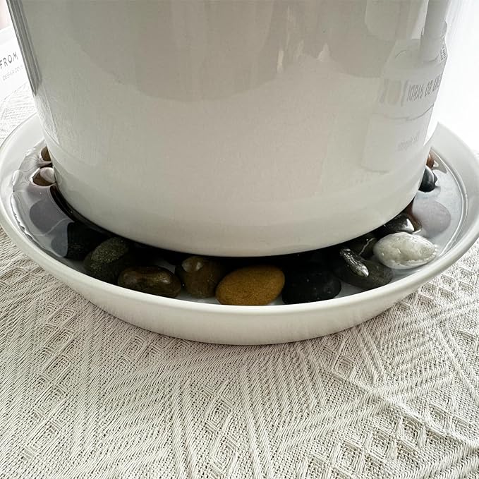 Ceramic Plant Saucer Tray 9 10 11 Inch White, 11.3" OD x9.7 ID x1.8 Deep| Round Sturdy Heavy Duty Glazed Bevel Planter Drip Flower pots with Catch Basin for Indoor Outdoor Plants