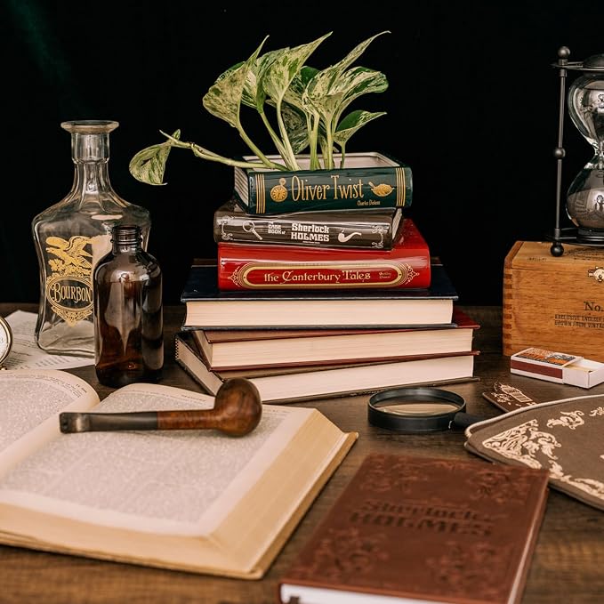 Steel Mill & Co Original Small Book-Shaped Decorative Planter, Ceramic Planter for Home Decor, Bookshelf Decor, or Father's Day (Oliver Twist/Sherlock Holmes/The Canterbury Tales)