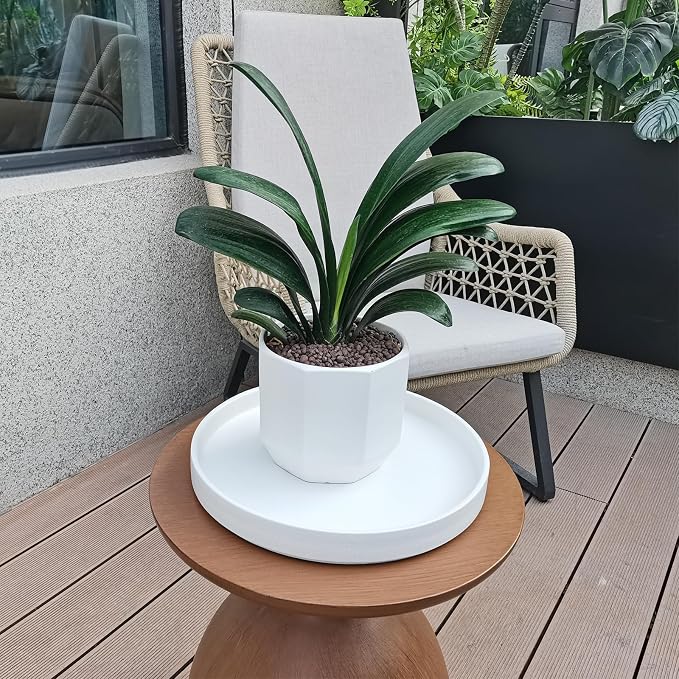 Plant Saucer for Indoors - 12 Inch Ceramic Plant Saucer Plant Water Catcher Tray Plant Pot Saucer Plant Drainage Tray, Durable Sturdy Flower Pot Saucers (Frosted White)