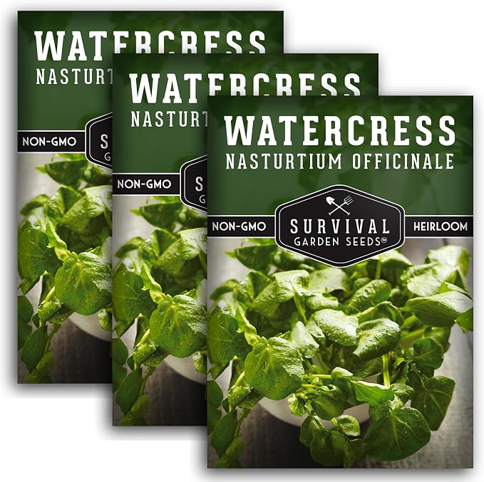 Watercress Seeds for Planting - Heirloom Aquatic Herb Greens - Non-GMO Nasturtium Officinale for Hydroponic Growing - Survival Garden Seeds (3 Packs)