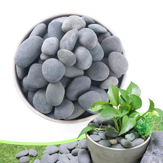 River Rocks Mexican Beach Pebbles (Large, 3LB)