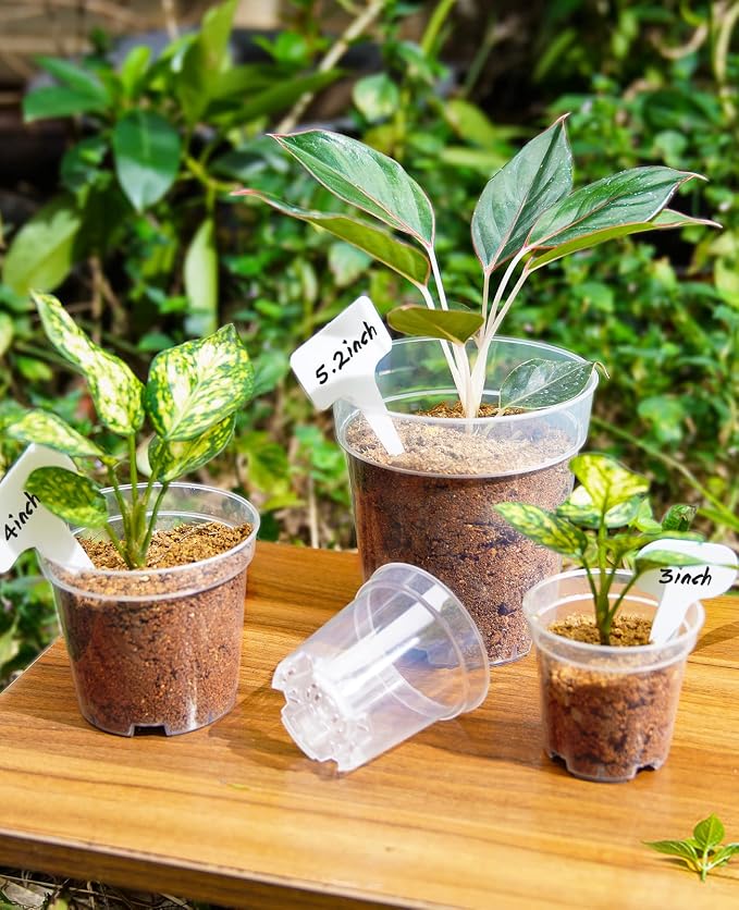 homenote Clear Nursery Pots for Plants,3/4 Inch Plant Pot for Planting Plastic Seedling with Drainage Holes Seed Starter Flower High Transparency with 10 Labels (20 Pack)