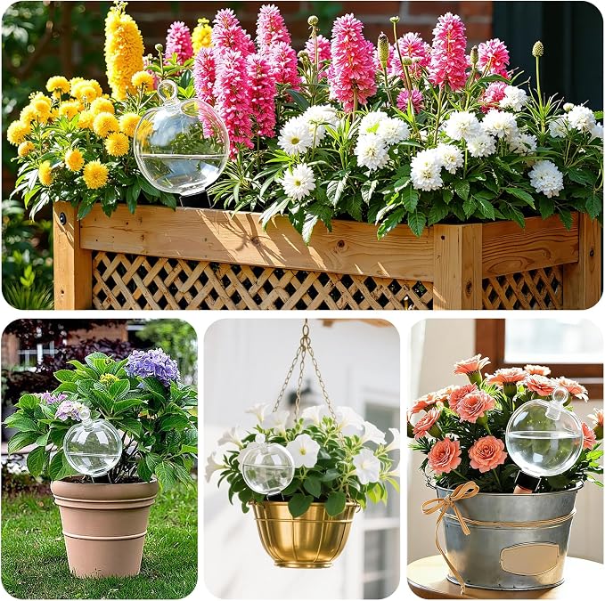 ZephyrBloom 19 Oz Large Plant Watering Globes & Self Watering Bulbs, Water Globes for Indoor Outdoor House Plants, Reliable Plant Water Feeders for Watering Plants While Away On Vacation 2‑Pack