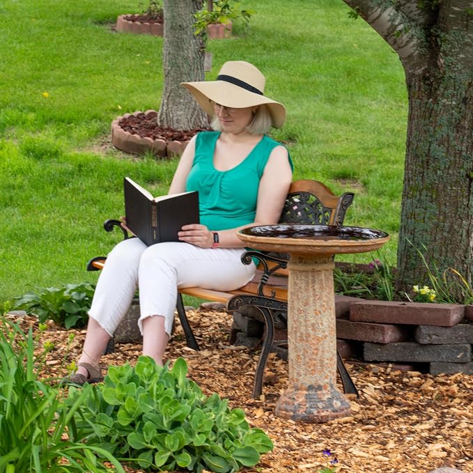 Sunnydaze Toulon Outdoor Ceramic Bird Bath - 24.5" H - UV- and Frost-Resistant - Glazed Bowl - Brown Lava Finish