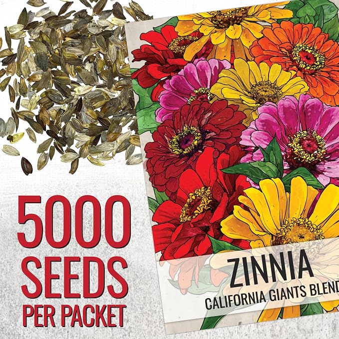 Seed Needs Zinnia Seeds California Giants Mix 5,000 Seeds Bulk Pack