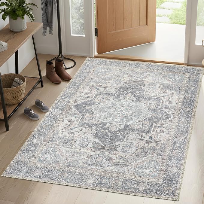 Sacred Artisans Vintage 3x5 Area Rug for Entry, Kitchen, Mudroom and Foyer | Washable, Pet Friendly, Durable and Low Pile (Sierra, 3' x 5')