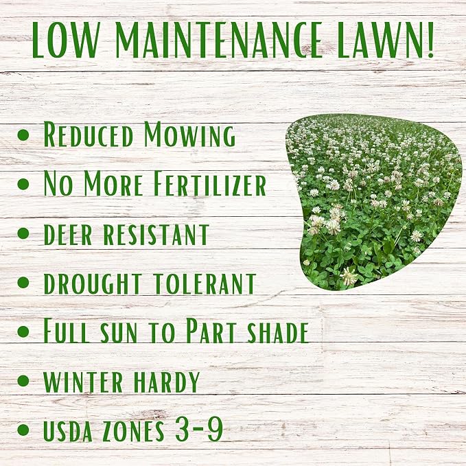 Flawn Seed White Dutch Clover Seeds, 2 Lbs, Organic Coated, Natural Lawn, Ground Cover, Food Plot, Zones 3-9, Covers up to 7,200 Sqft