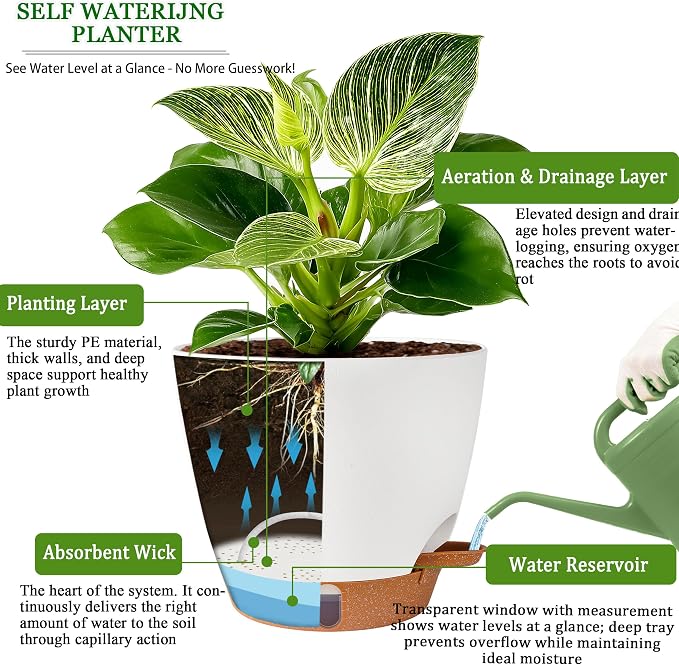 Self Watering Pots for Inoor Ourdoor Plants 10/9/8/7/6.5 Inch Plastic Planters with Drainage Holes & Water Level Indicator, Decorative House Flower Nursery Planting Pots with Saucers (White)