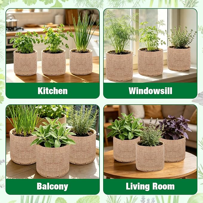 12 Herb Garden Kit - Indoor Herbs Seeds Growing Kit Gardening Gift Birthday Housewarming Christmas Gift for Women Her Men, Complete Starter Set for Beginner